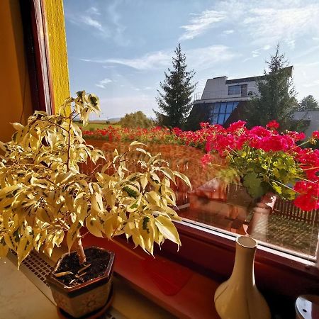Apartman Adrianka Turcianske Teplice Exterior photo